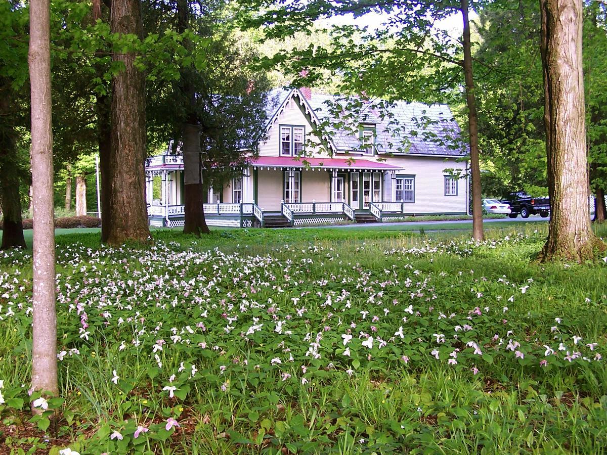 Bristol Dreamhouse Country Inn المظهر الخارجي الصورة